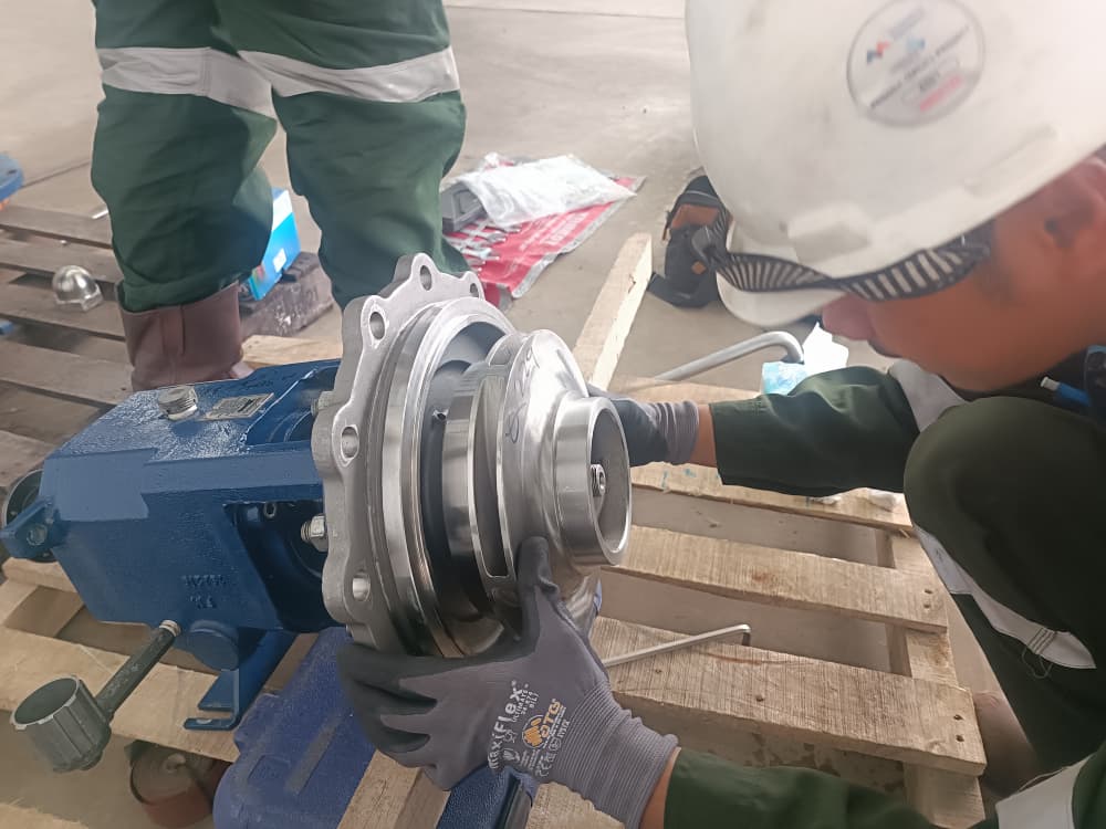 Our Service